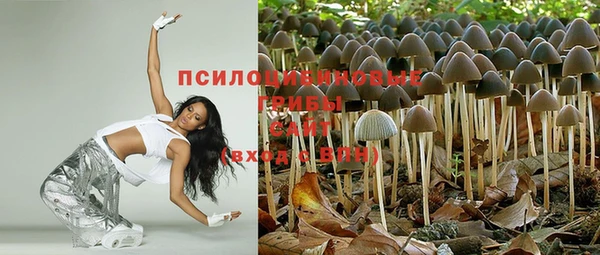 соль ск Гусев