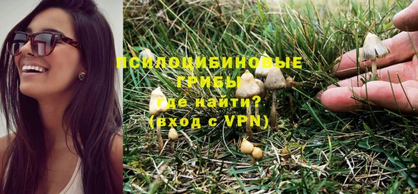 крисы Гусь-Хрустальный