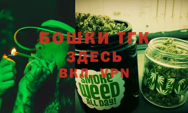 соль ск Гусев