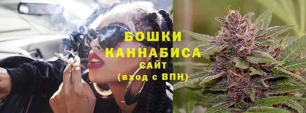 соль ск Гусев