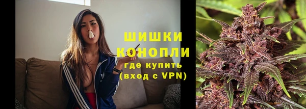 соль ск Гусев